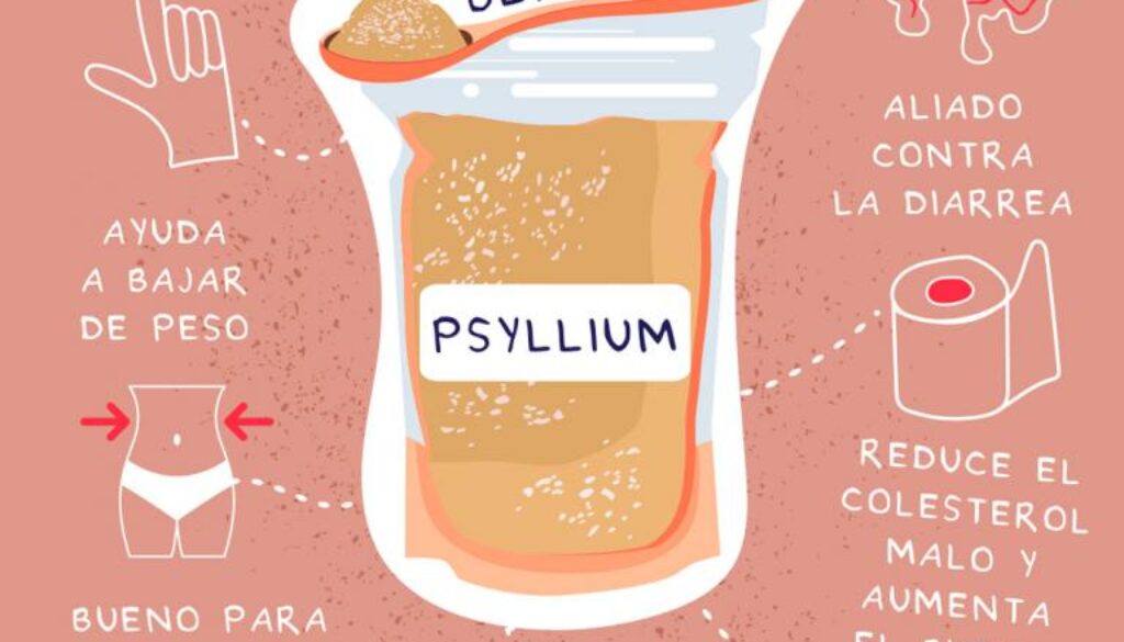 fibra-de-psyllium-beneficios-para-tu-salud-digestiva