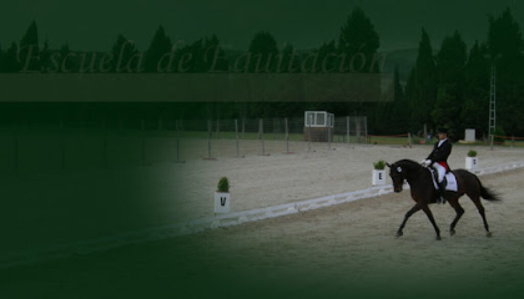 Imagen-de-Escuela-de-equitacion-El-Recreo-en-Villacete-Leon