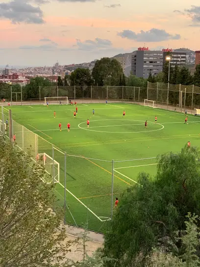 Fundacion Brafa – Escuela Deportiva en A coruña, A coruña