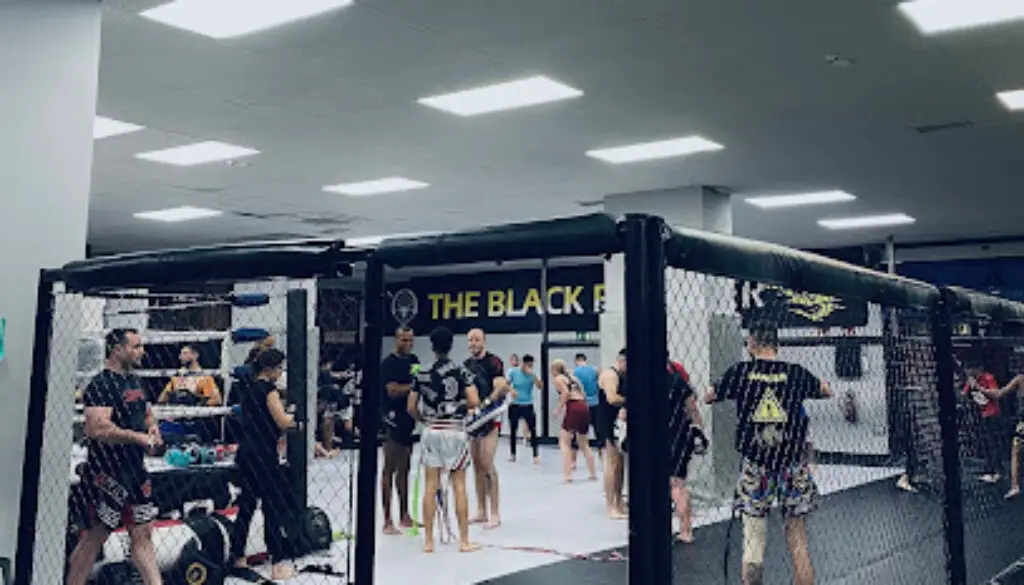 Imagen-de-The-Black-Panther-Gym-en-CAlavanchel-Madrid Imagen-de-The-Black-Panther-Gym-en-CAlavanchel-Madrid